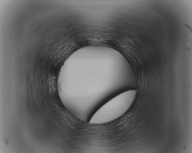 X0000103461346200809121048