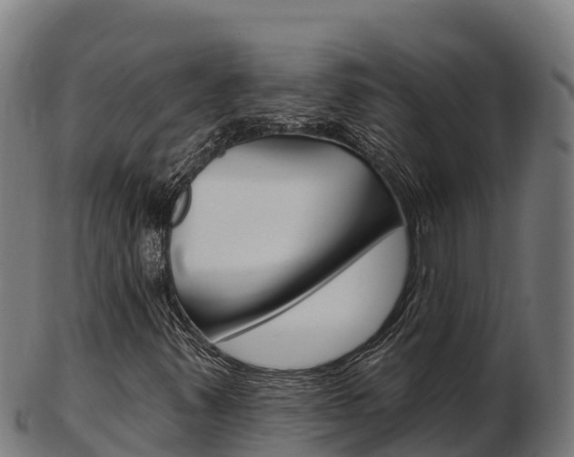 X0000103461347200809121048