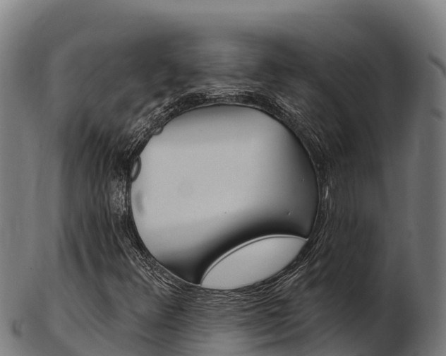 X0000103461348200809121048