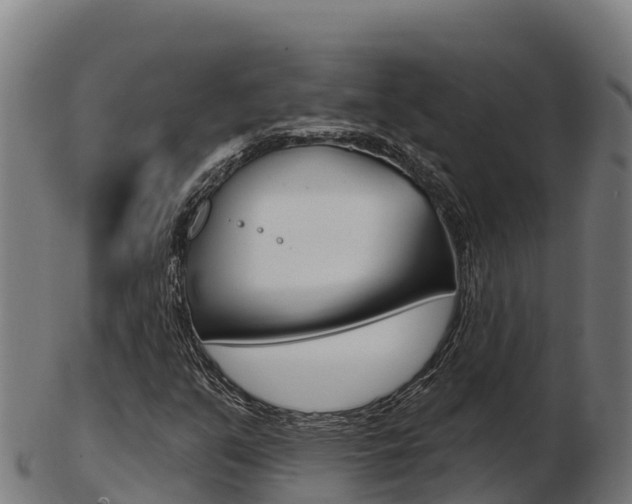 X0000103461351200809121048