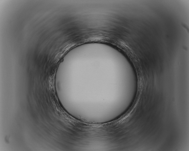 X0000103461353200809121048