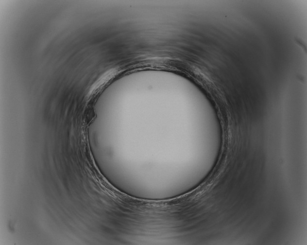 X0000103461354200809121048
