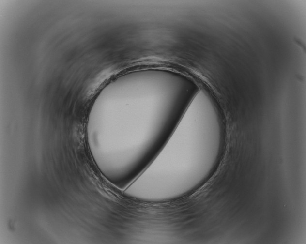 X0000103461355200809121048