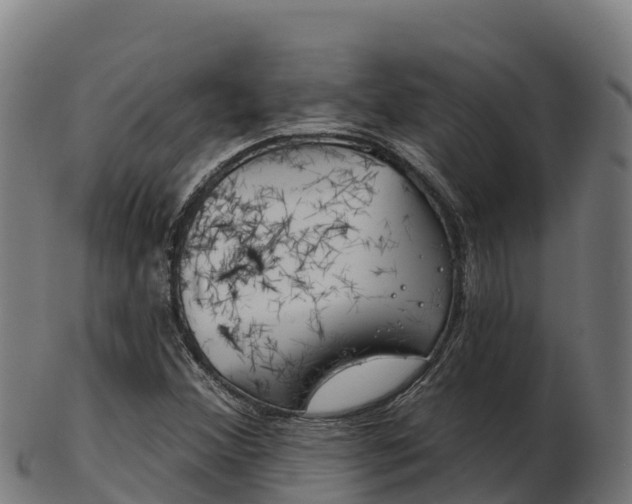 X0000103461356200809121048