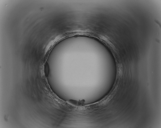 X0000103461357200809121048