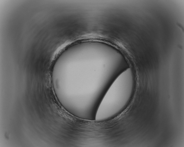 X0000103461358200809121048