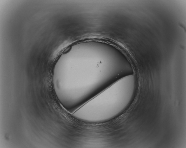 X0000103461359200809121048