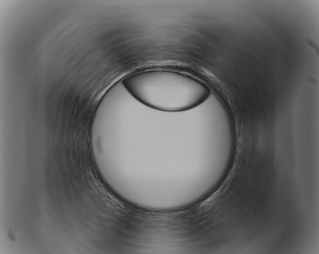 X0000103461361200809121048