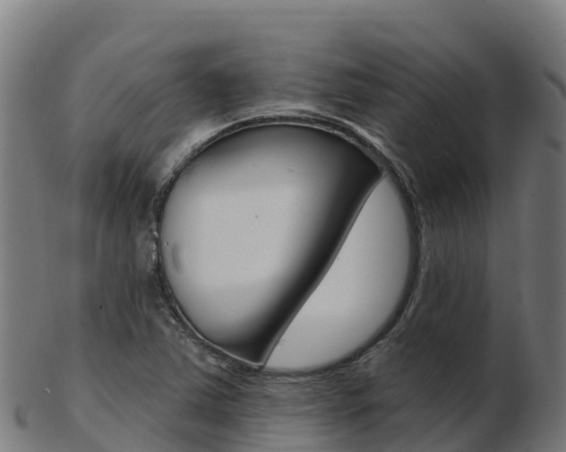 X0000103461363200809121048