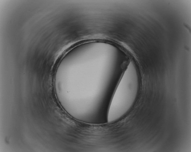 X0000103461364200809121048