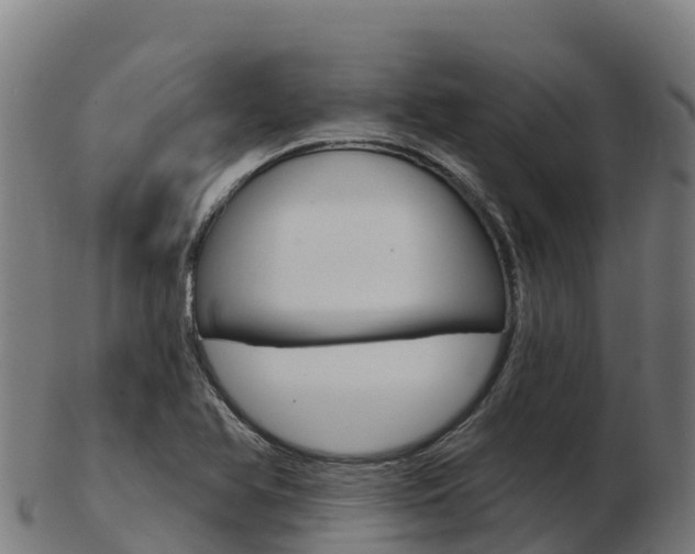X0000103461366200809121048