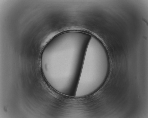 X0000103461367200809121048