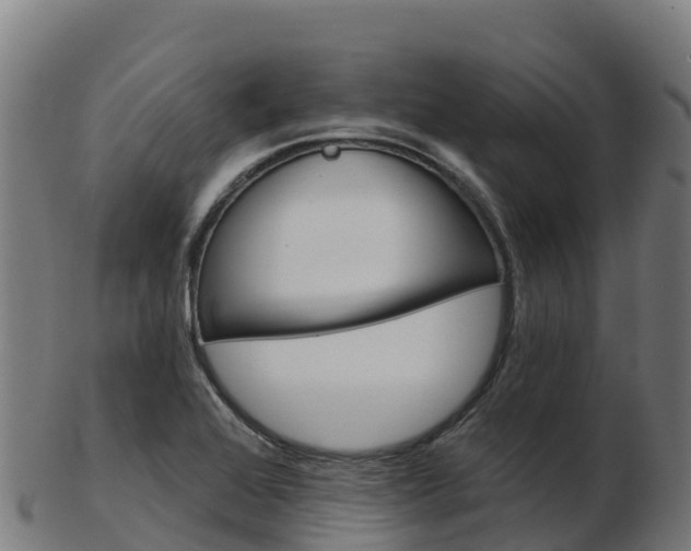 X0000103461368200809121048