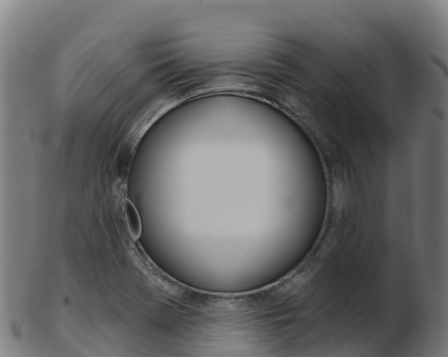 X0000103461369200809121048