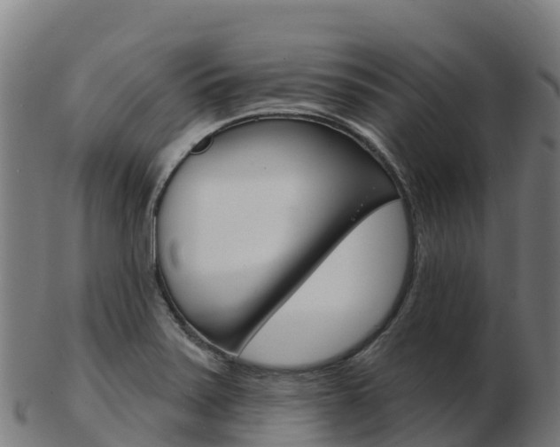 X0000103461371200809121048