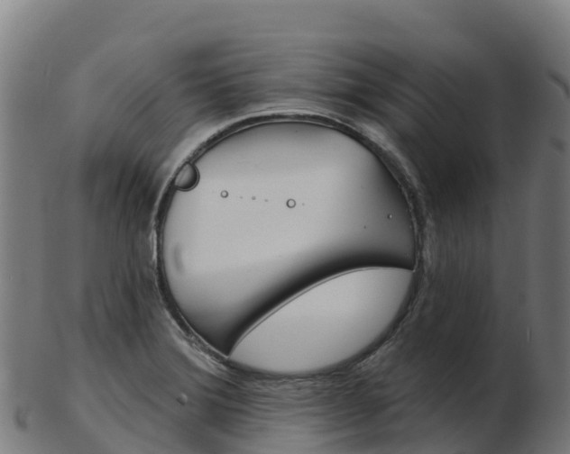 X0000103461372200809121048