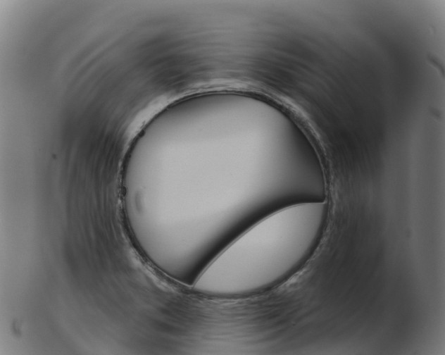 X0000103461373200809121048