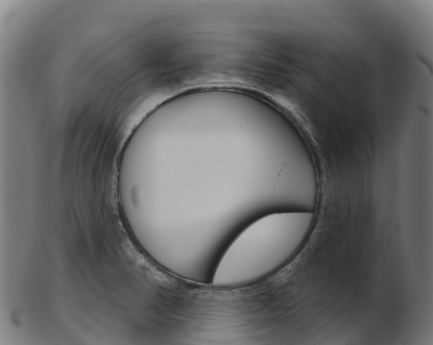 X0000103461374200809121048