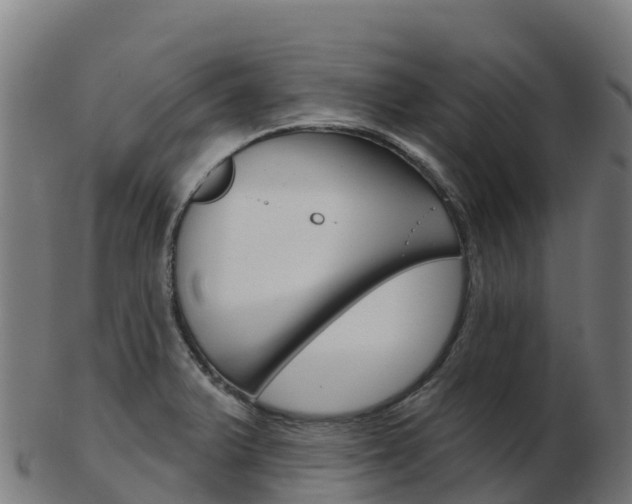 X0000103461375200809121048