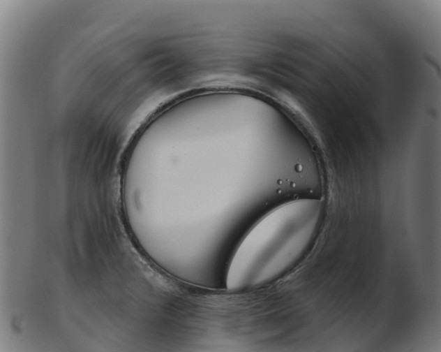 X0000103461376200809121048