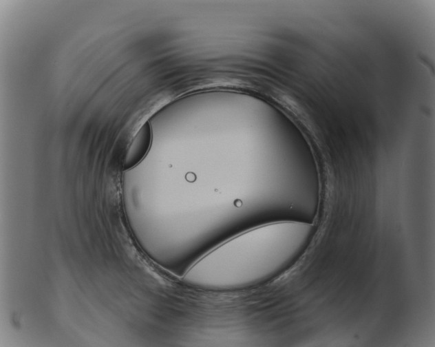 X0000103461377200809121048