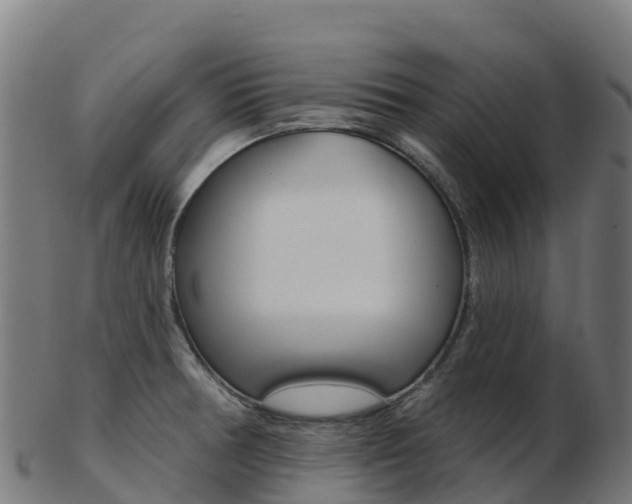X0000103461378200809121048
