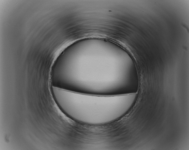 X0000103461379200809121048