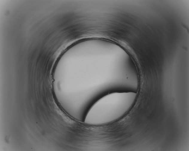 X0000103461380200809121048