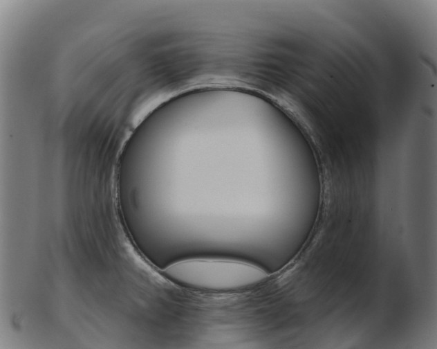 X0000103461382200809121048
