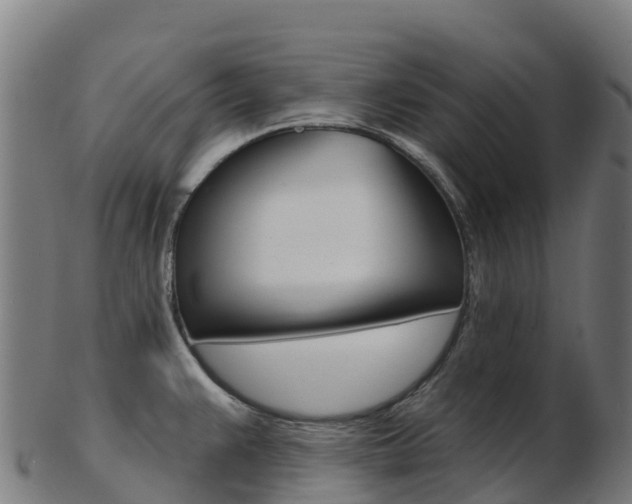 X0000103461383200809121048