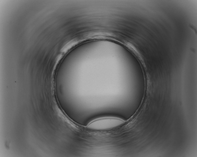 X0000103461384200809121048