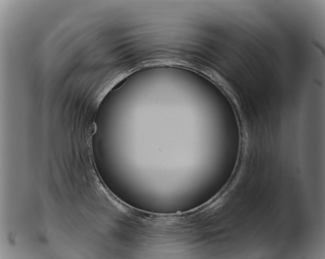 X0000103461385200809121048