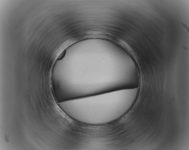 X0000103461386200809121048