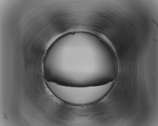 X0000103461388200809121048