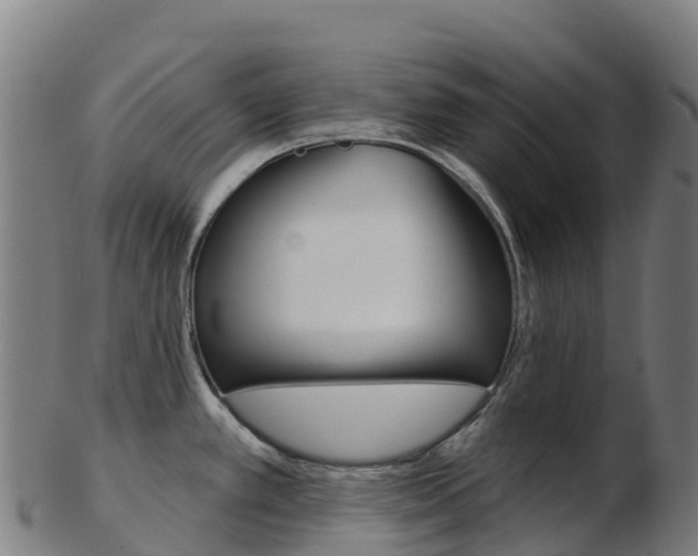 X0000103461389200809121048