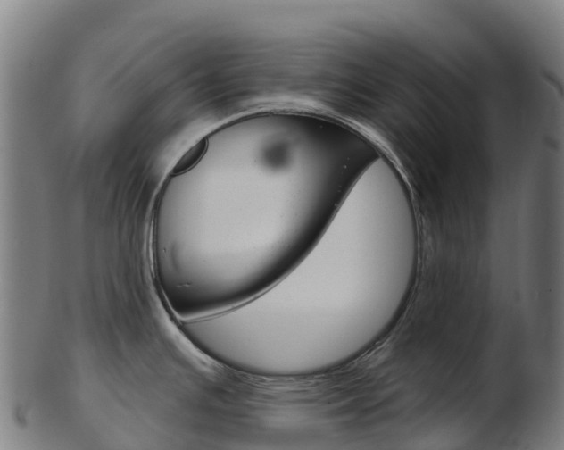 X0000103461391200809121048