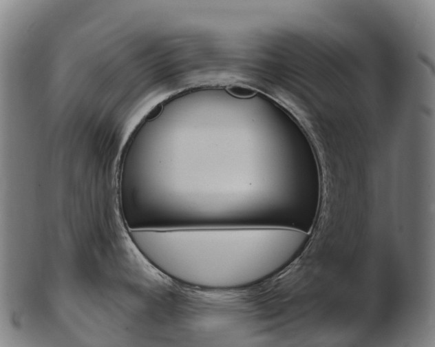 X0000103461392200809121048