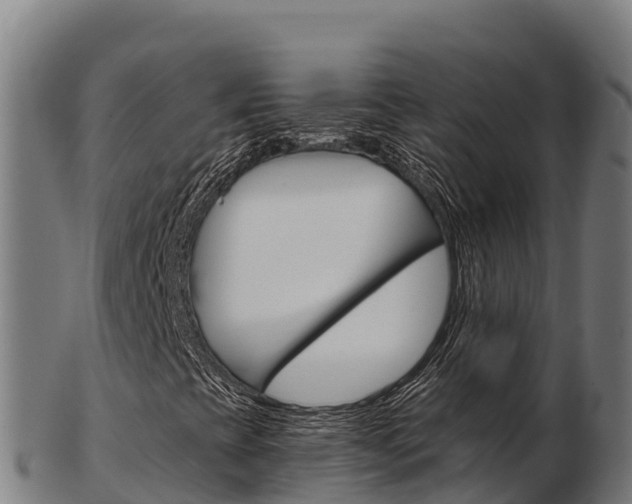 X0000103461393200809121047