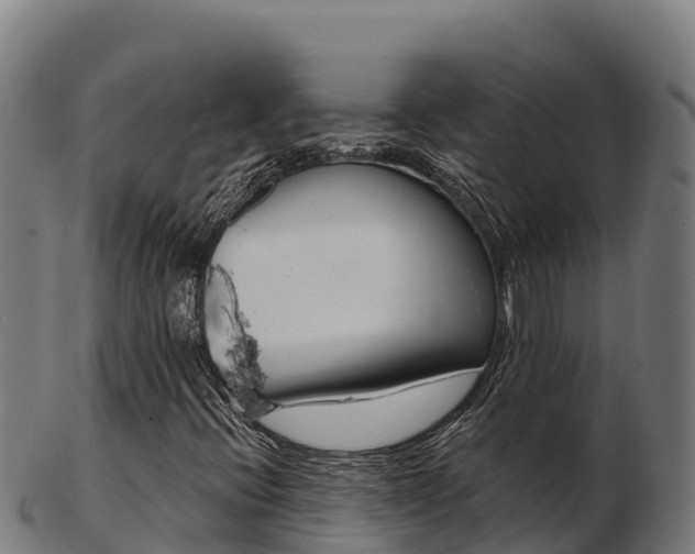 X0000103461396200809121047