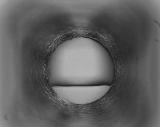 X0000103461397200809121047
