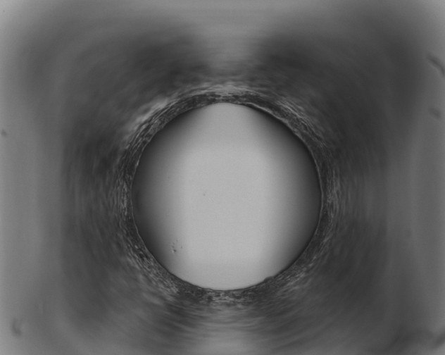 X0000103461398200809121047