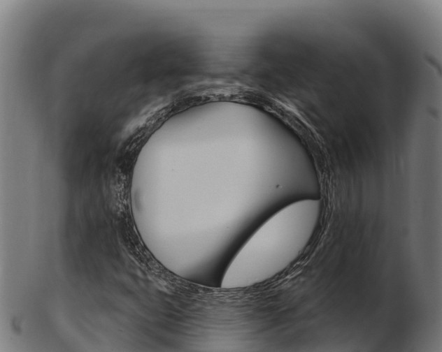 X0000103461399200809121047