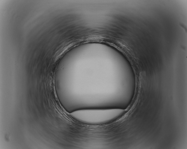 X0000103461401200809121047