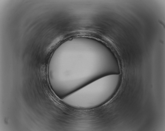 X0000103461403200809121047