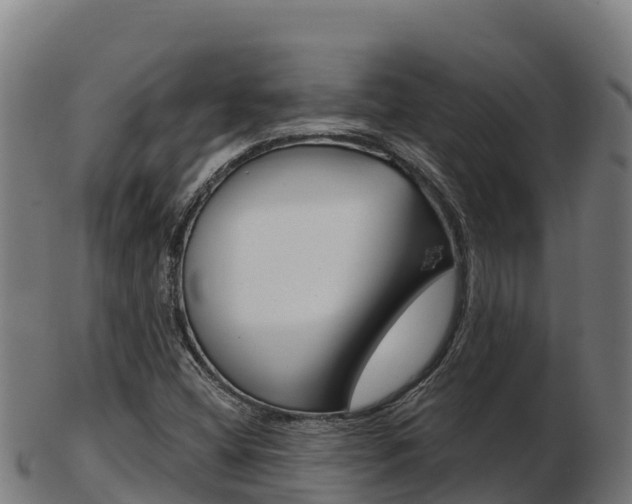 X0000103461404200809121047