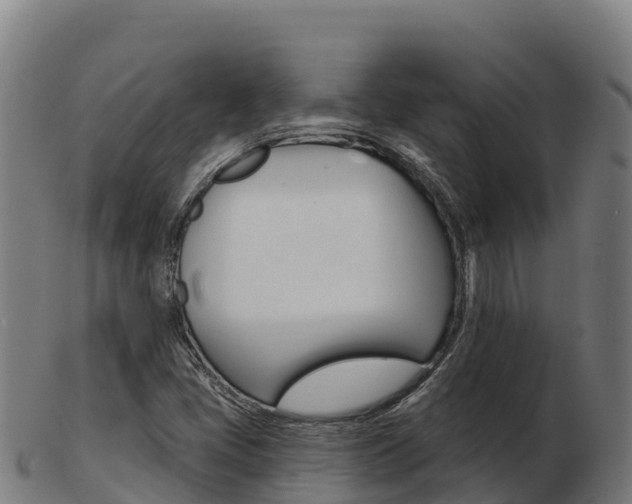 X0000103461405200809121047