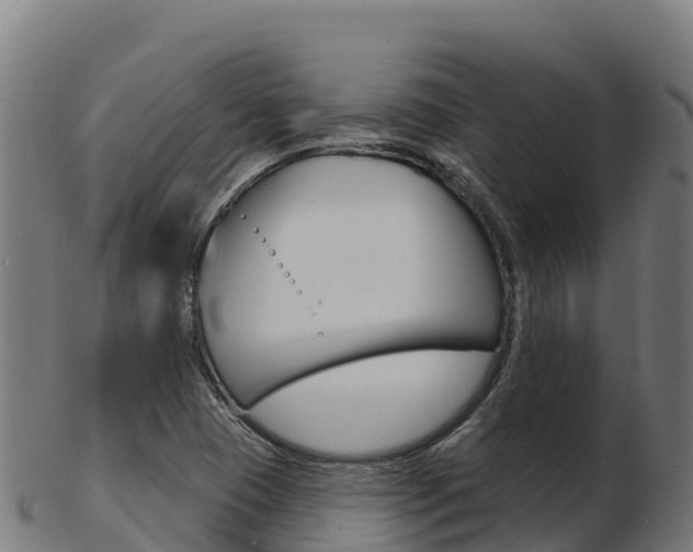 X0000103461409200809121047