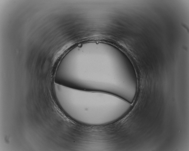X0000103461410200809121047