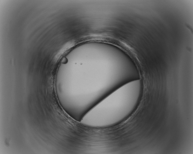 X0000103461411200809121047