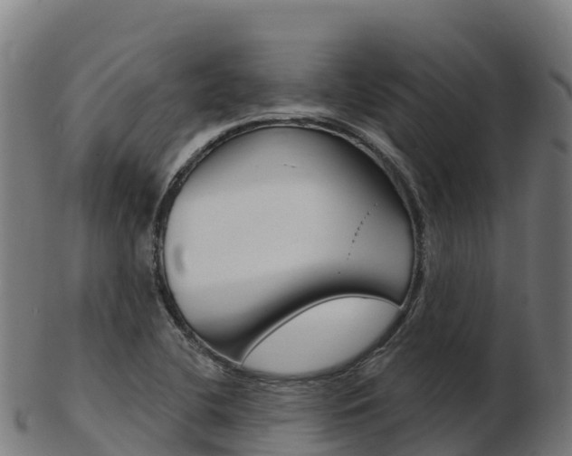 X0000103461412200809121047